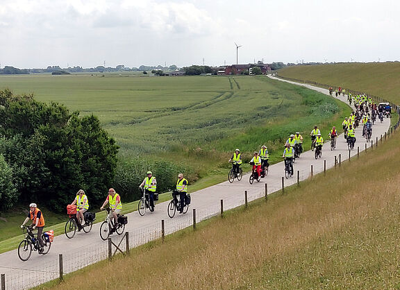 Tag des Fahrrads 2022 - Der Lindwurm am Deich