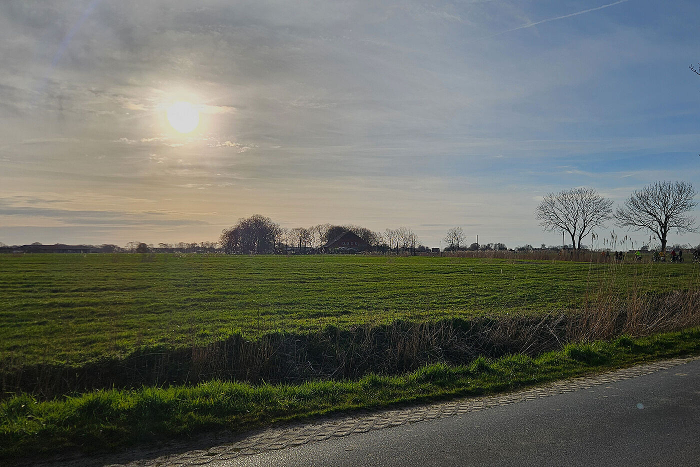 20260408_Mandepolder_B4.jpg 20260408_Mandepolder_B4.jpg