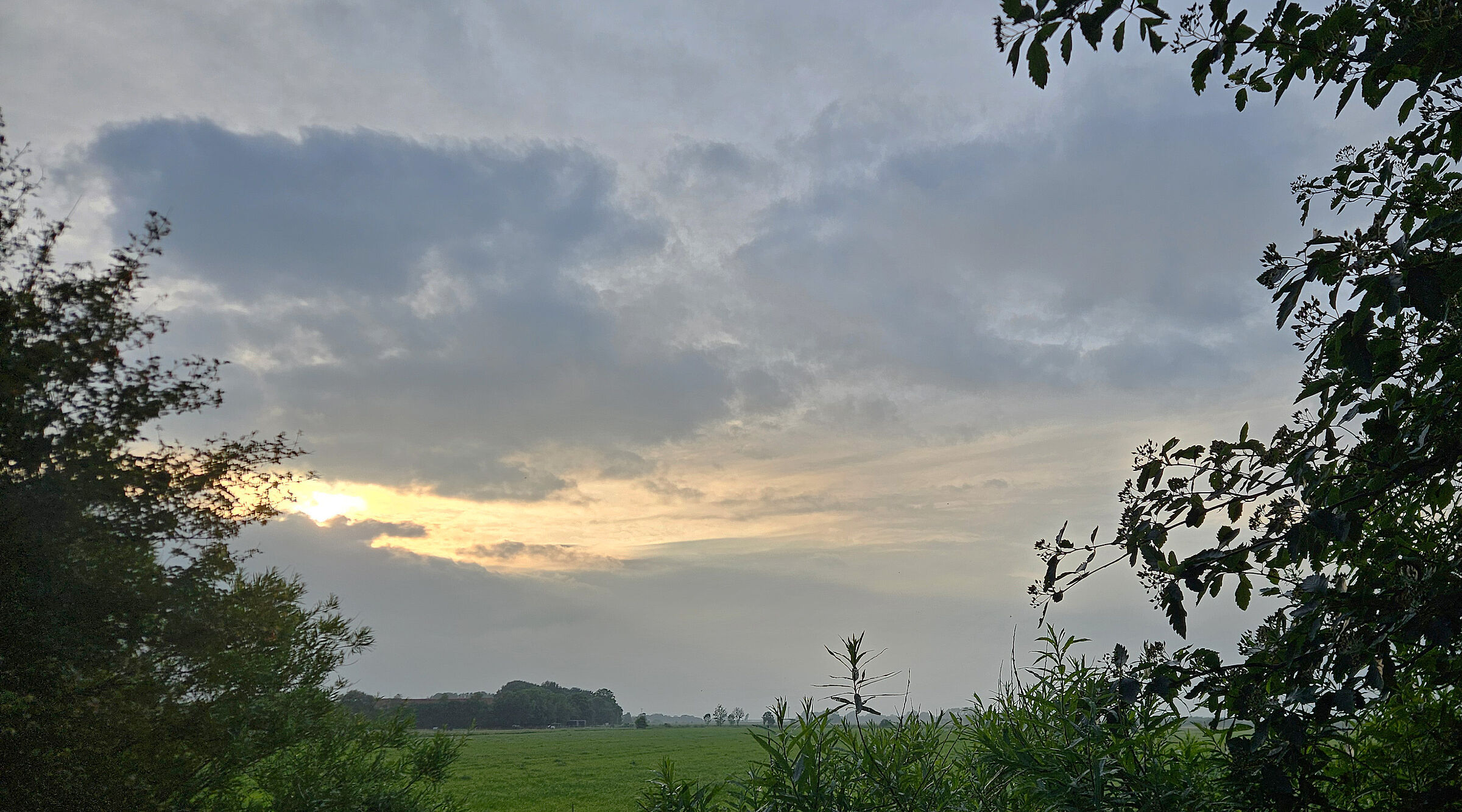20260617_Allee_B0.jpg