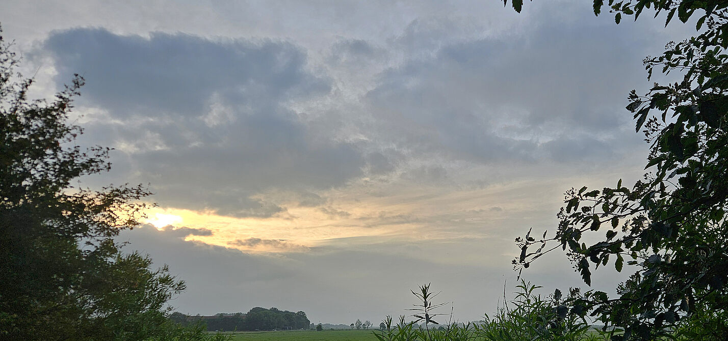 20260617_Allee_B0.jpg