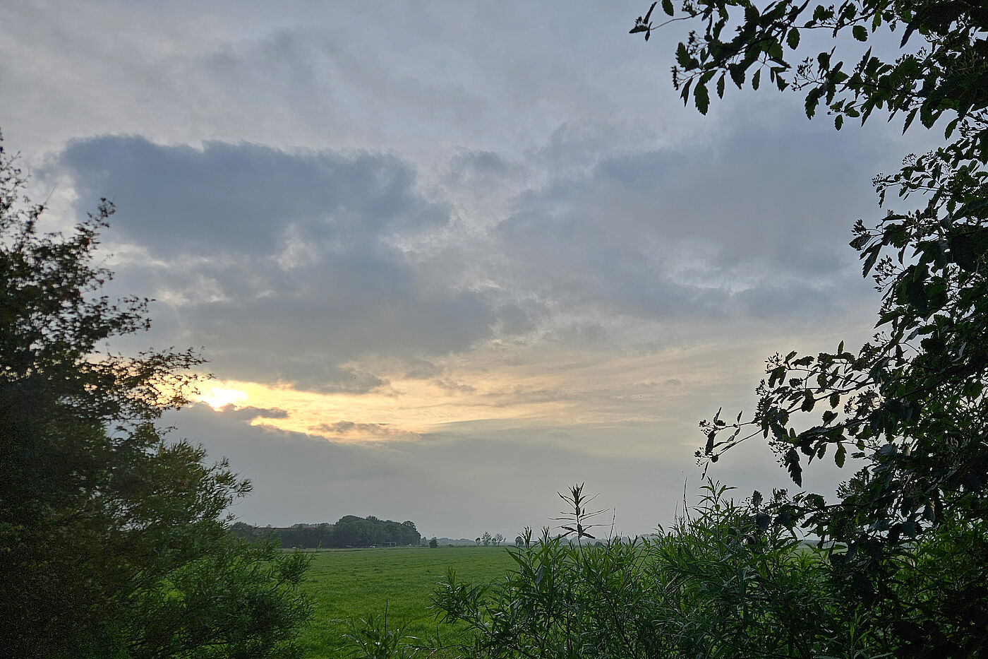 20260617_Allee_B0.jpg