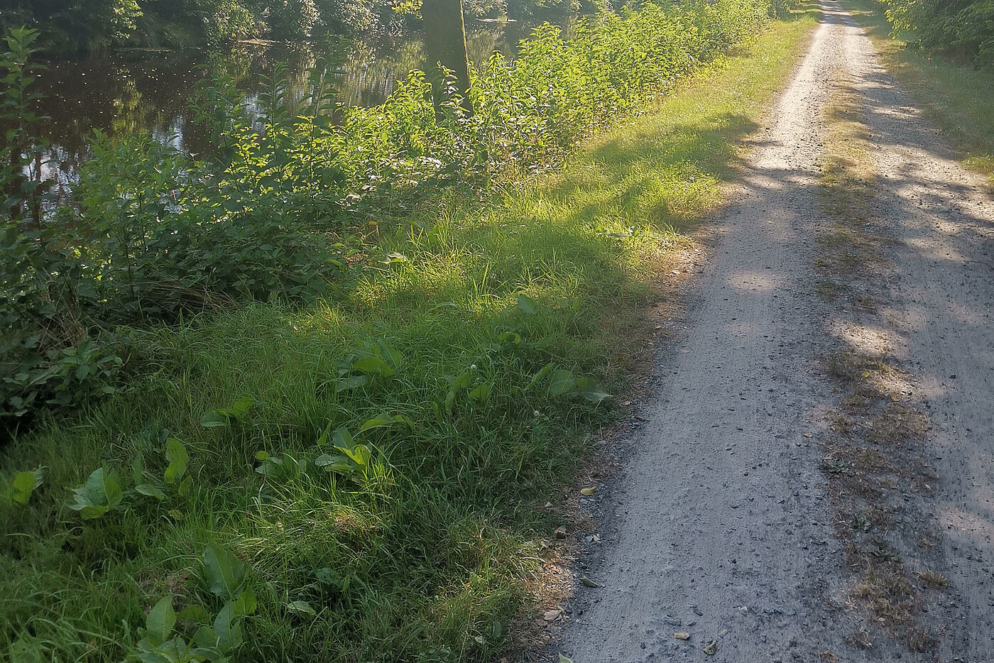 3. MTB-Tour des ADFC Norden