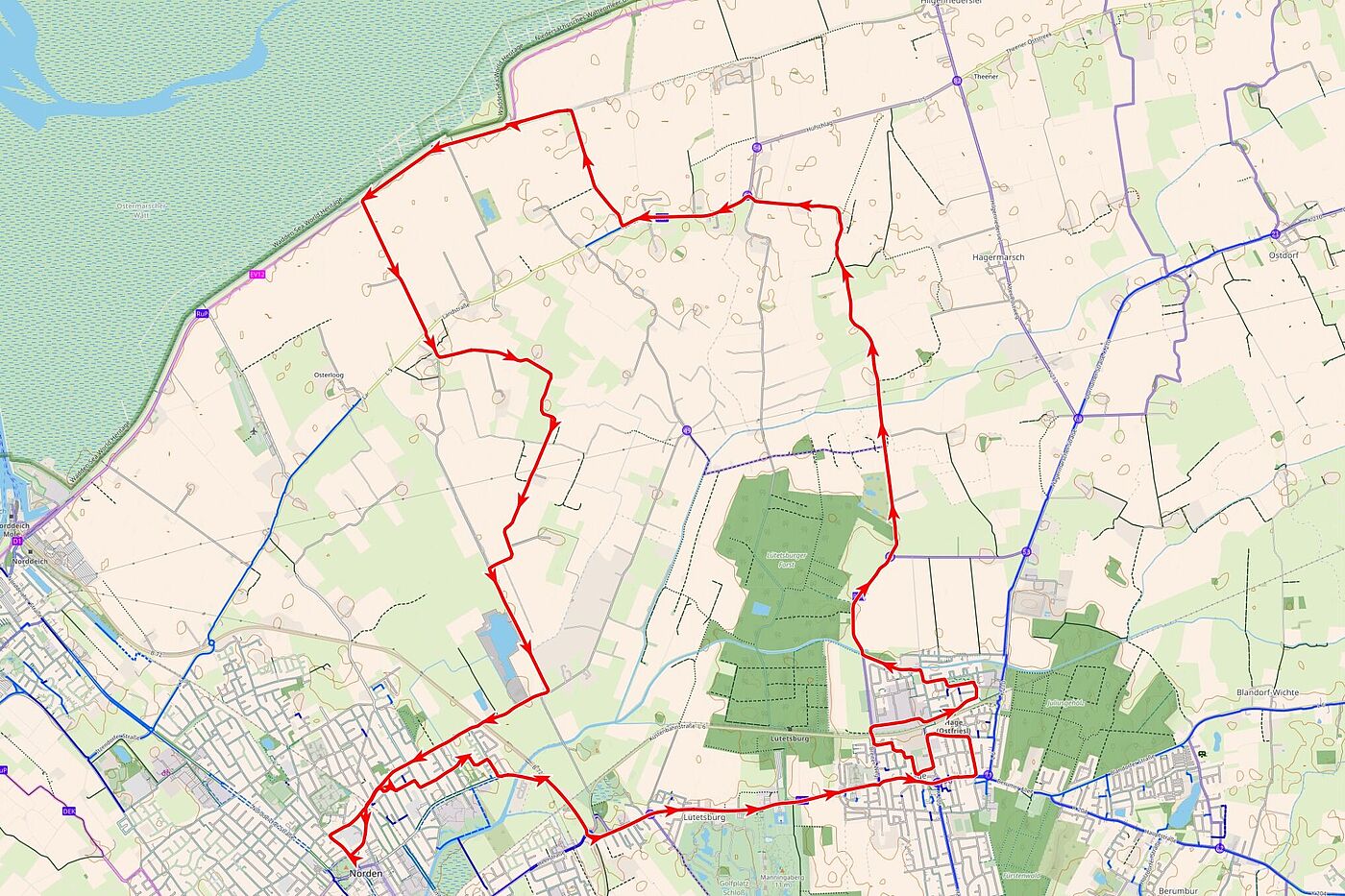 20260513_Hufschlag.jpg 20260513_Hufschlag.jpg