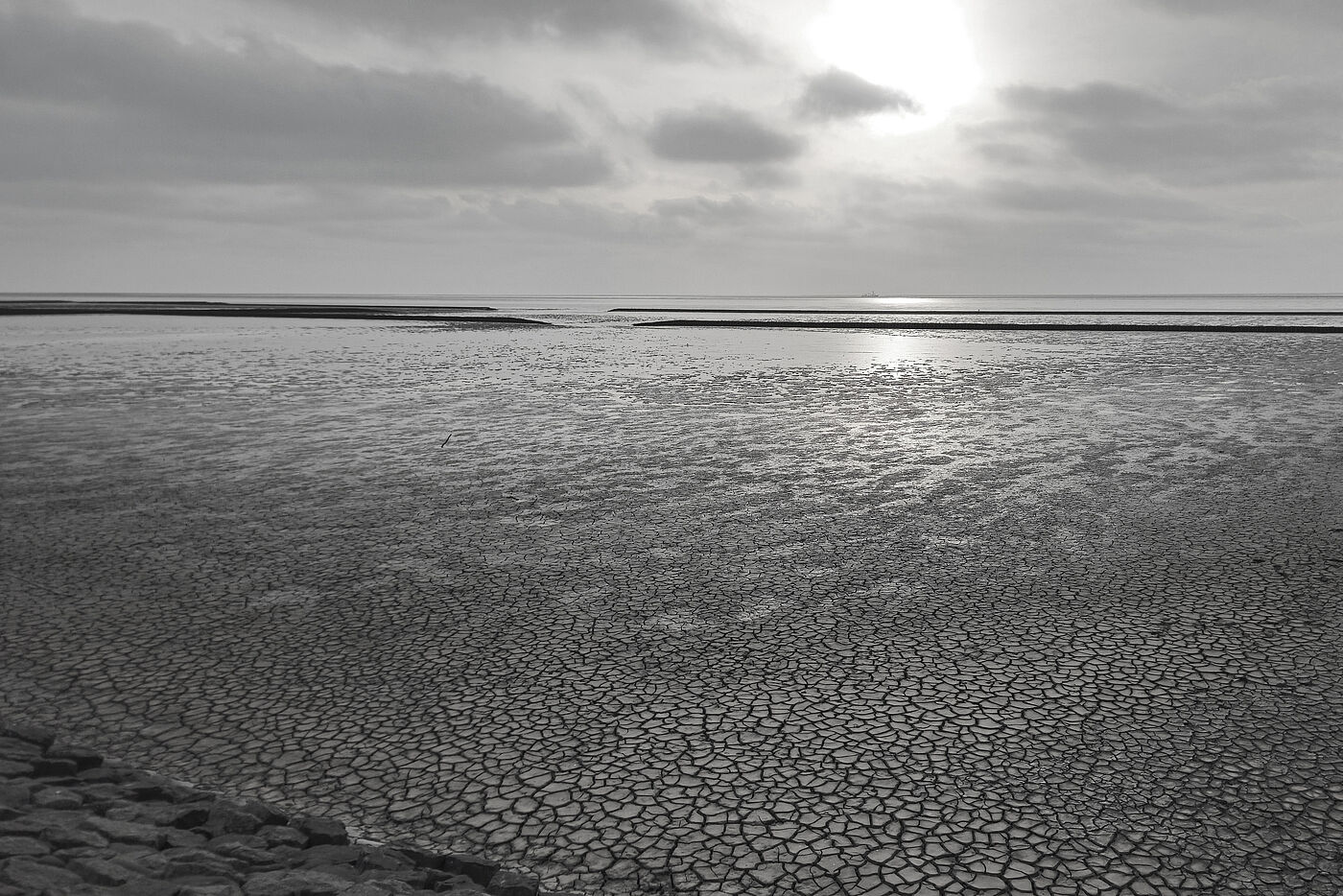 20250514_Westermarsch_B0.jpg