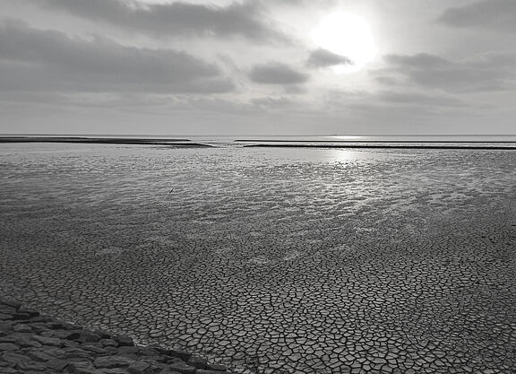 20250514_Westermarsch_B0.jpg