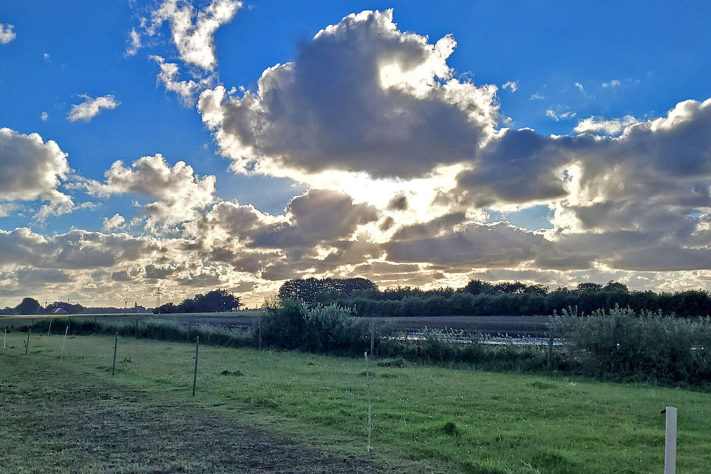 20240619_Mittsommer_B0.jpg