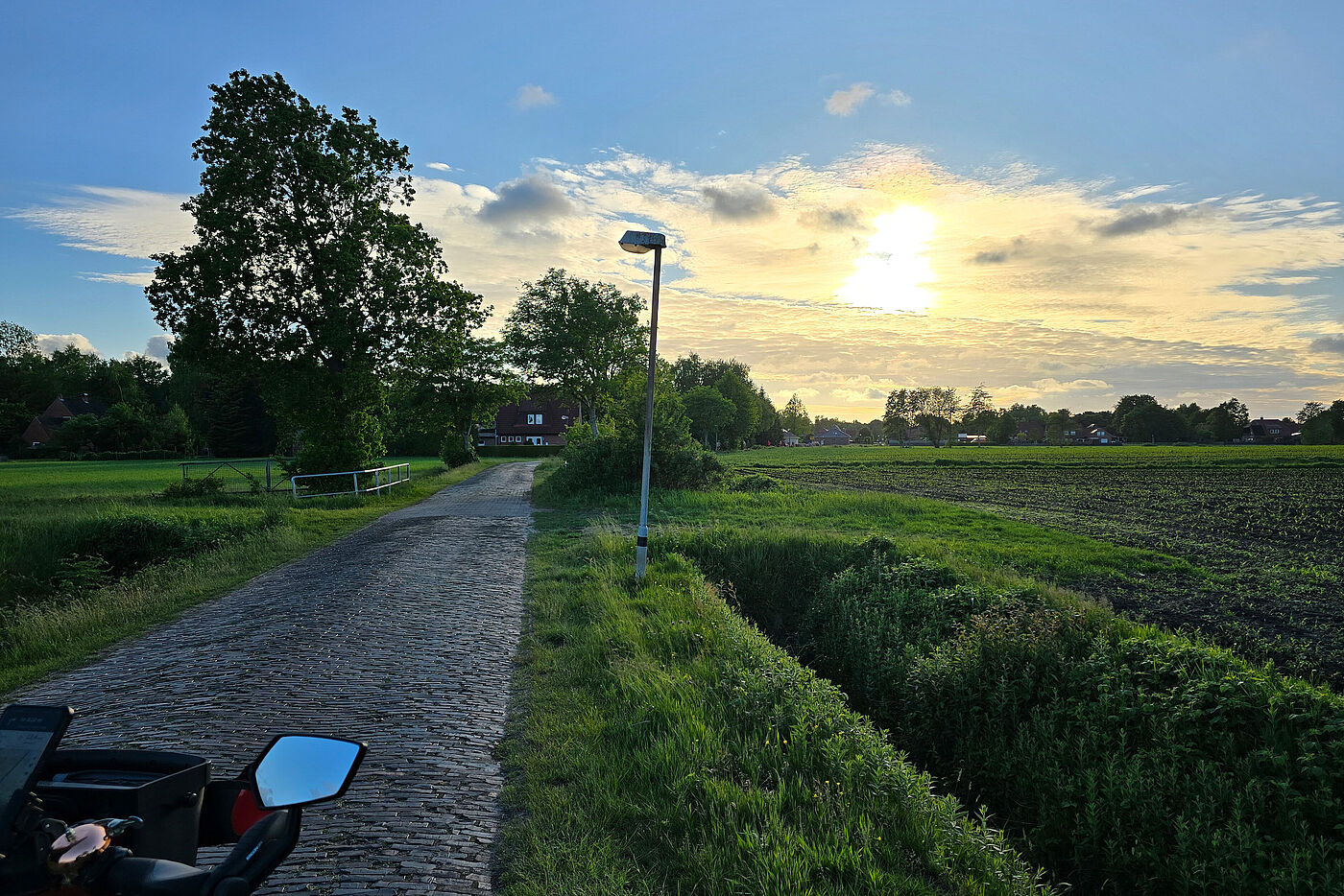 20250528_Wusel_B0.jpg