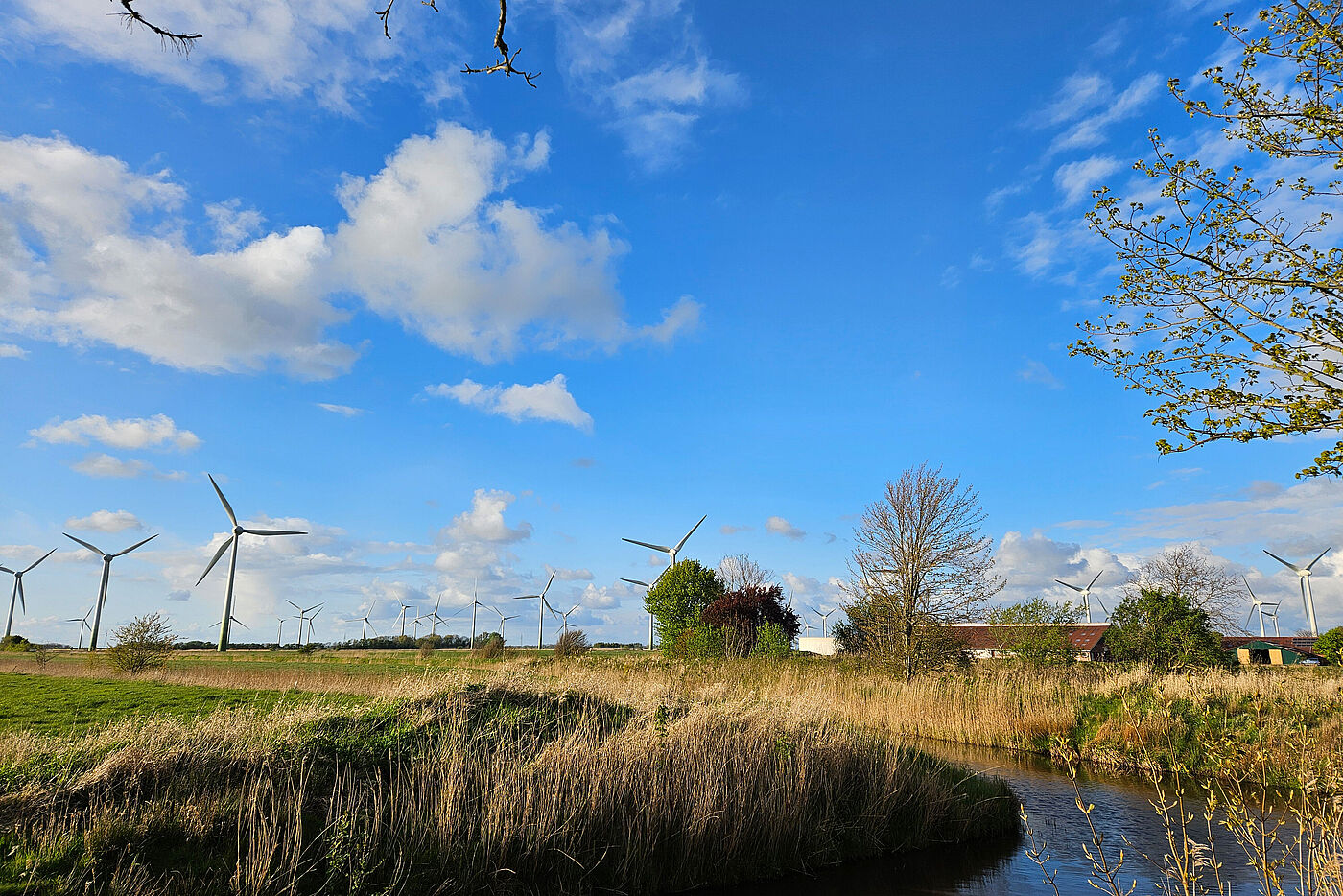20240424_Westermoordorf_B3.jpg