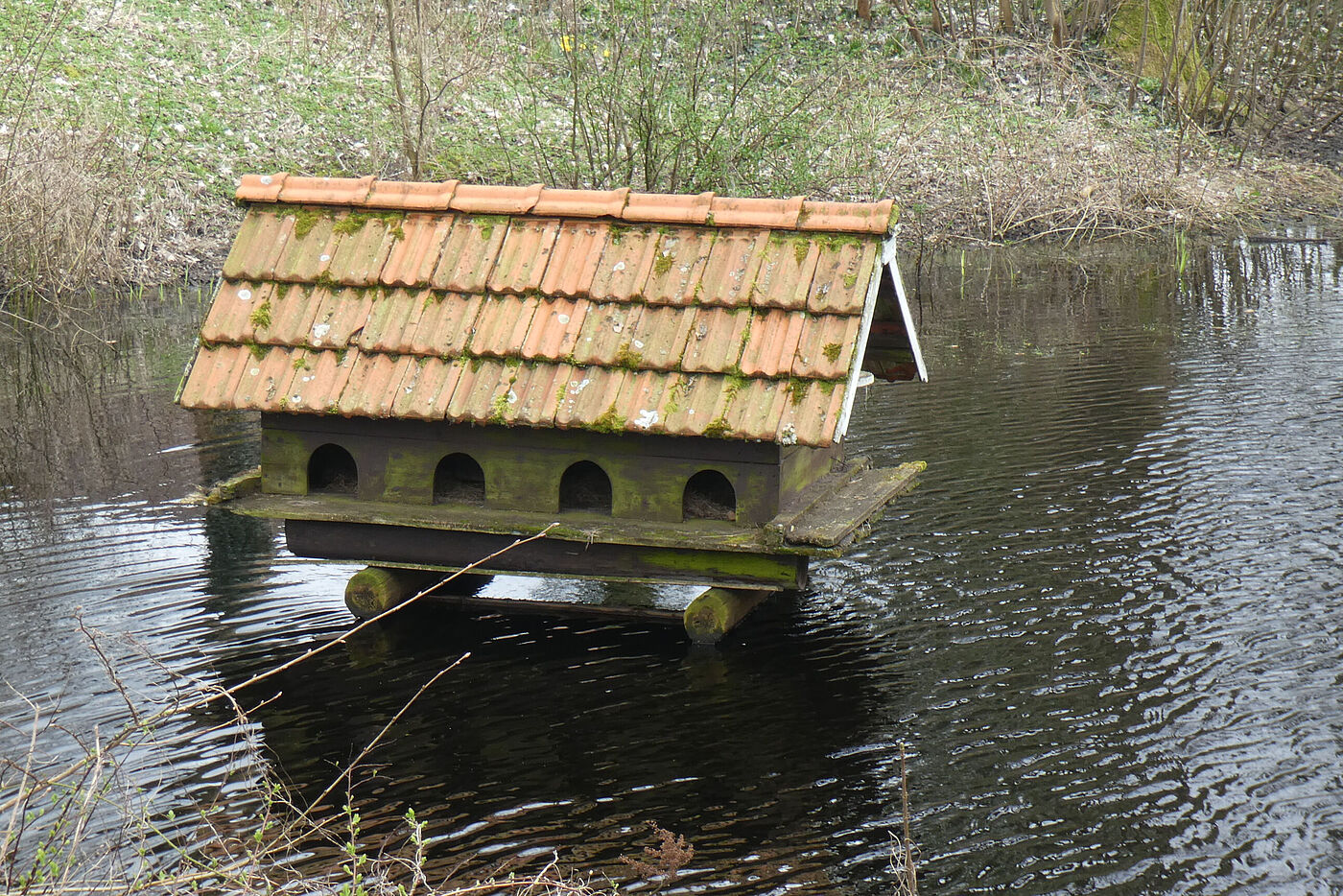 Rätsel-Foto Ostermoordorf-Großheide