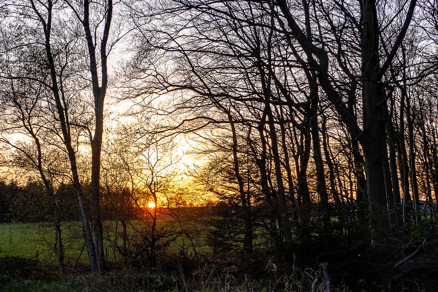 20. April 2022: Tour Westermoordorf