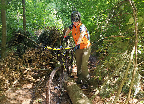 1. MTB-Tour des ADFC Norden