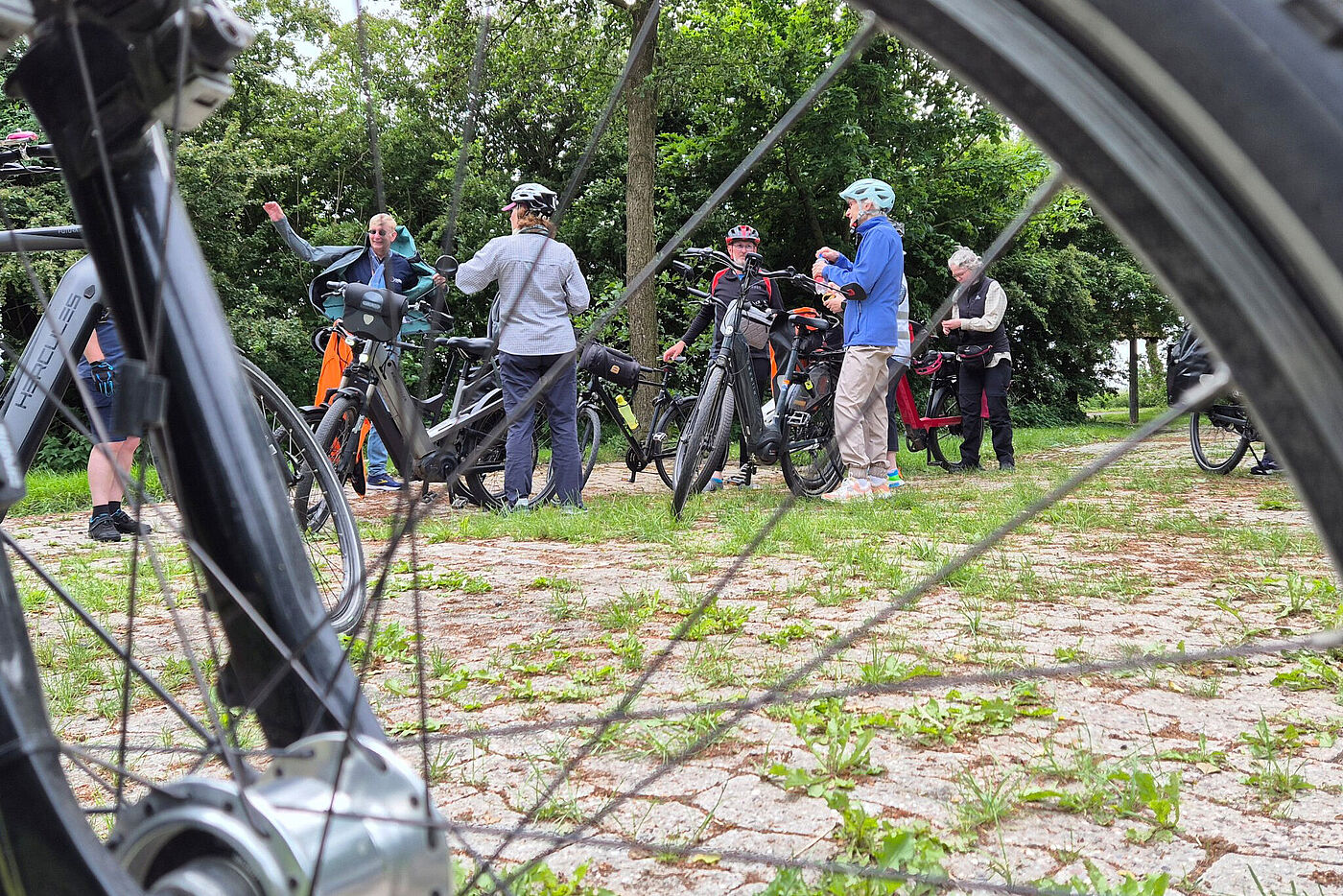 20250601_Emden_B3.jpg