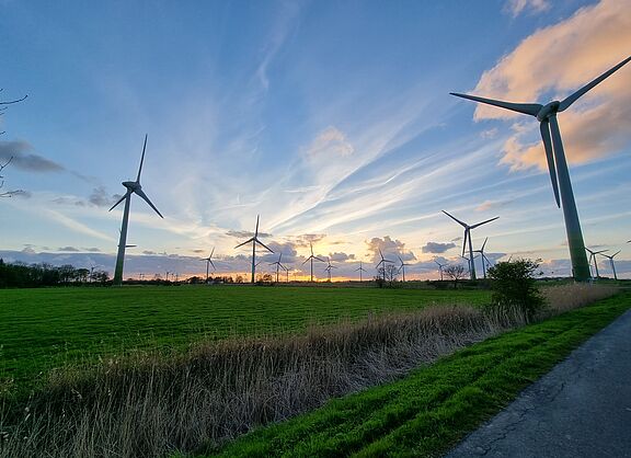 20230426_Hagerwilde_B0