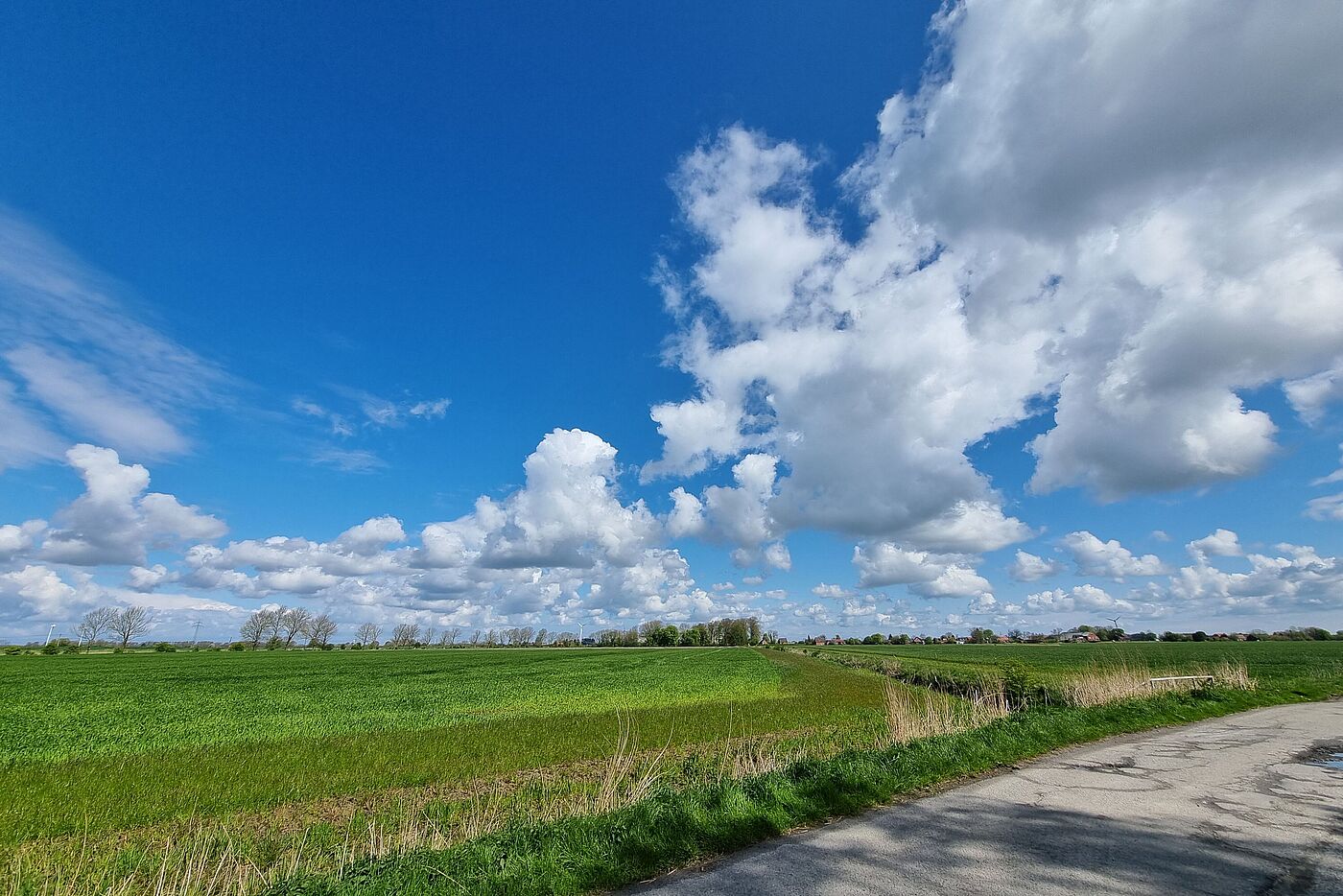 20240428_Greetsiel_B2.jpg