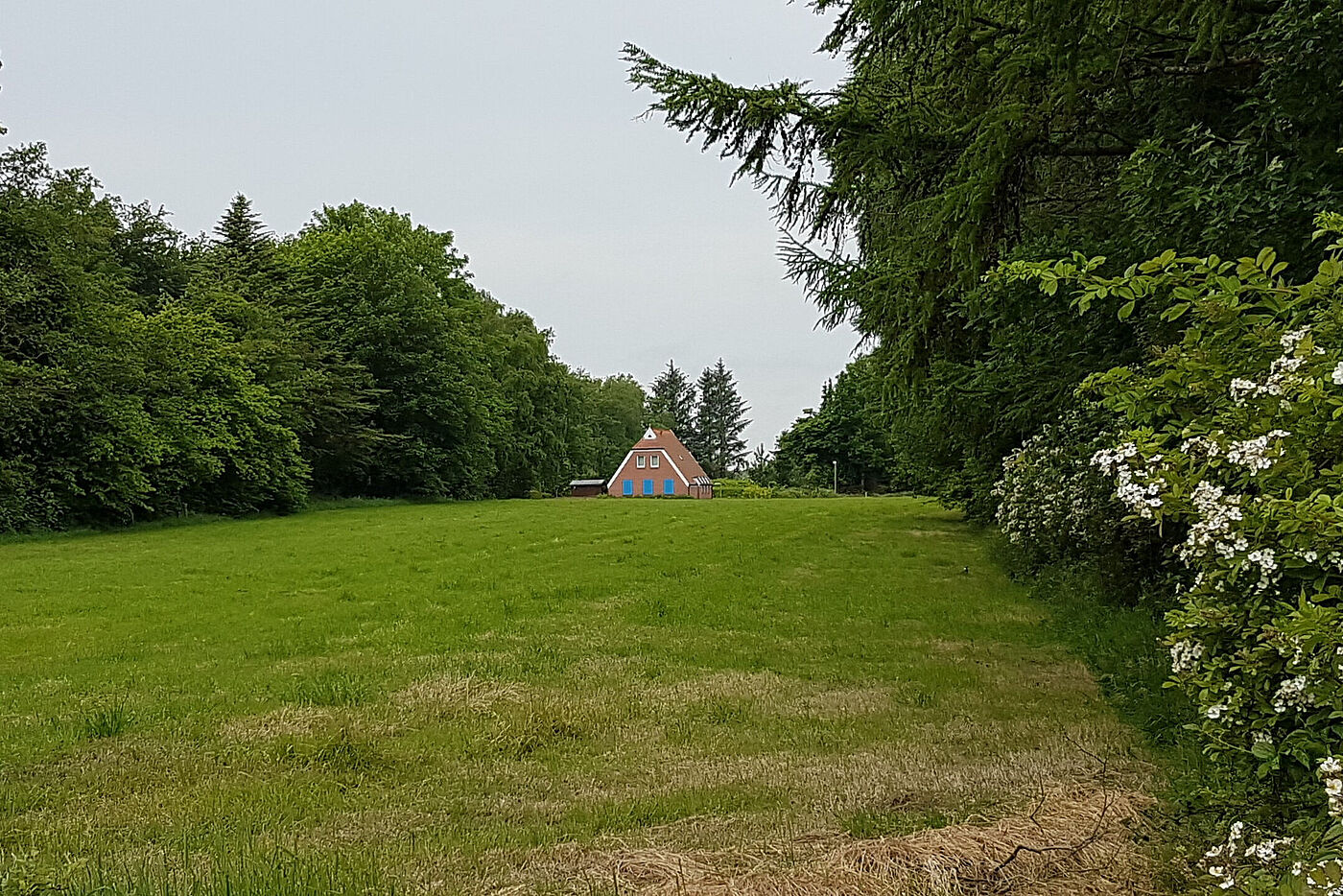 Hage-Berumerfehn-Halbemond