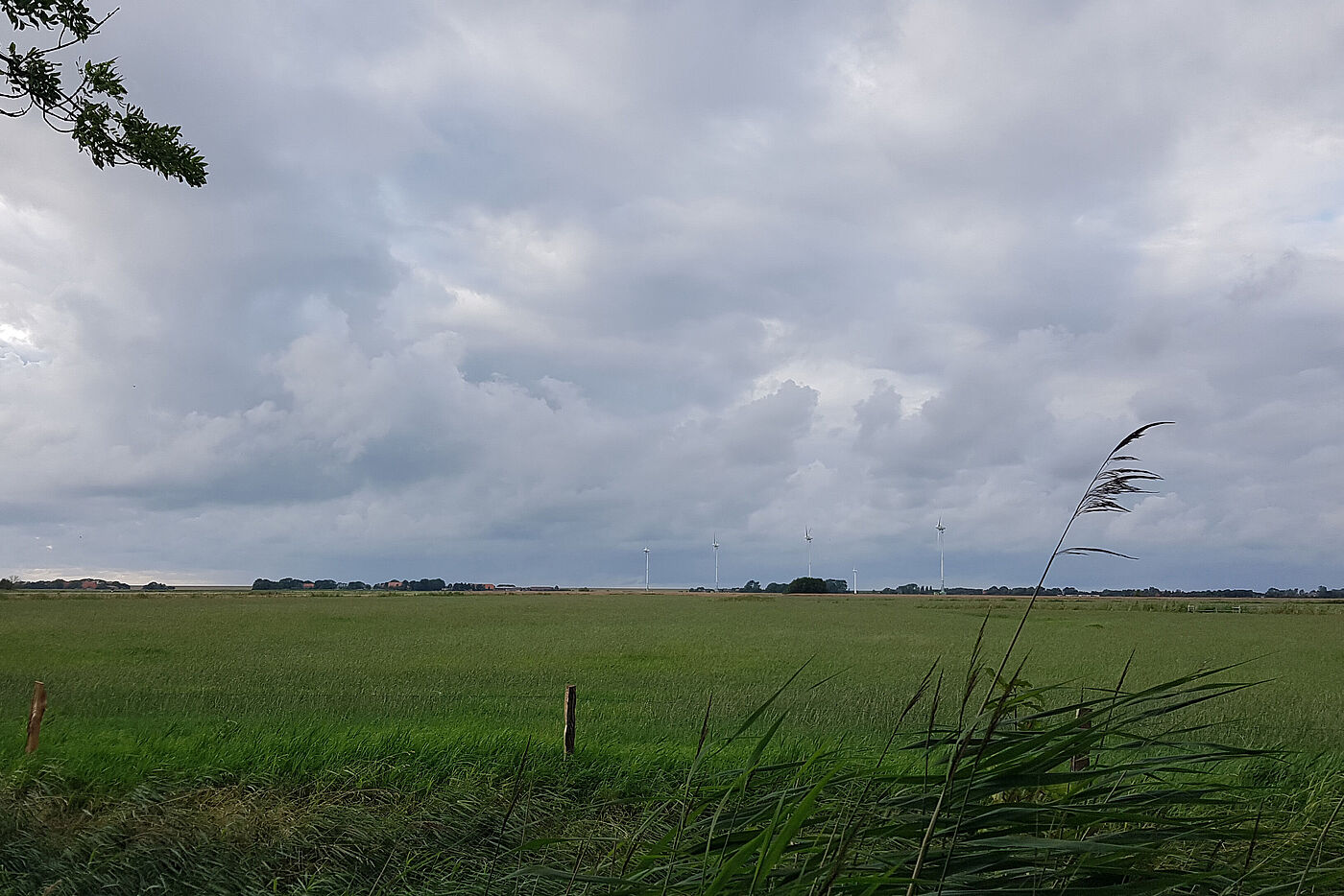 20230726_Westermarsch_B05