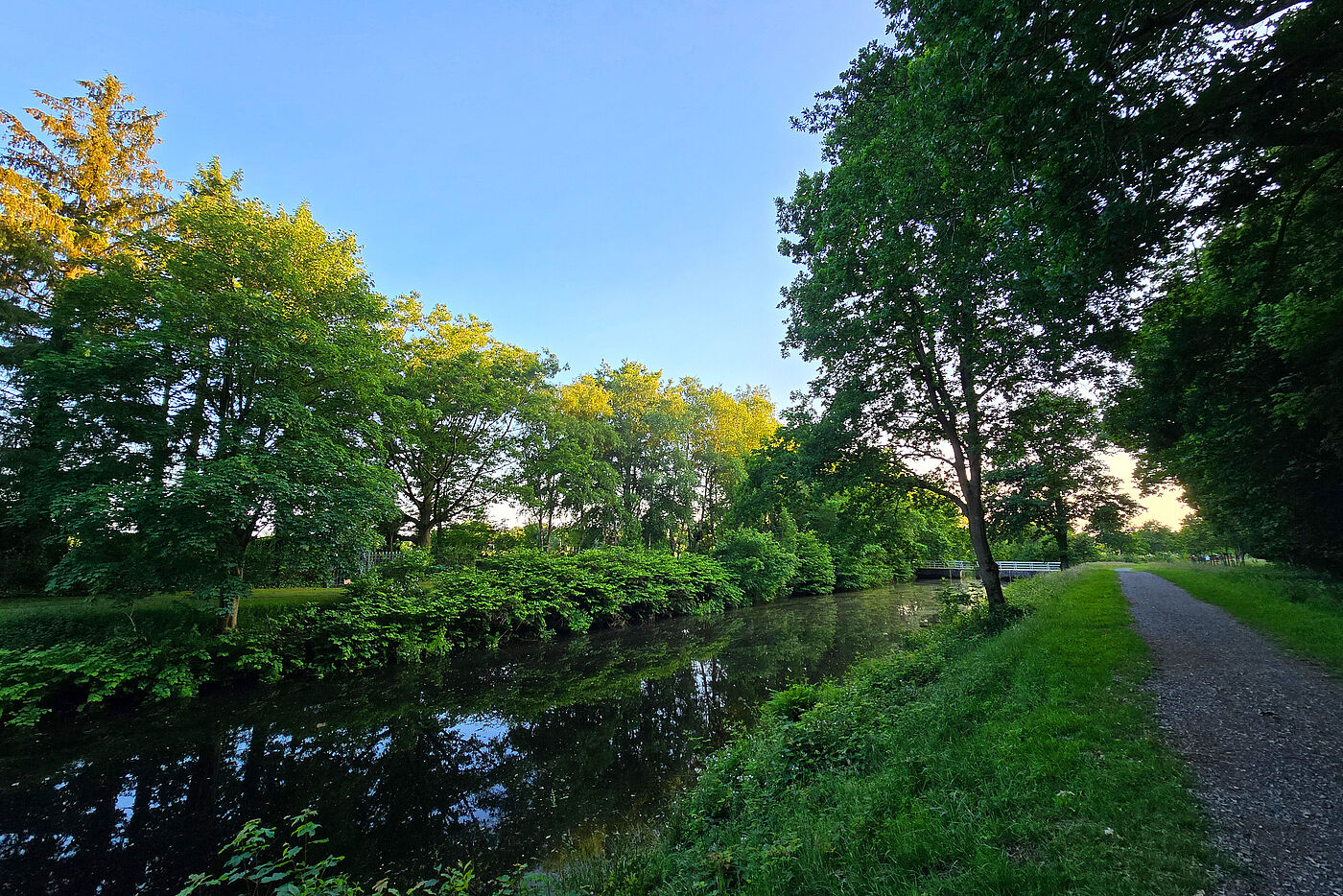 20250611_Leezdorf_B3.jpg