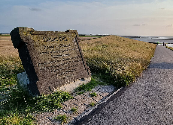 20250806_Mandepolder_B0.jpg