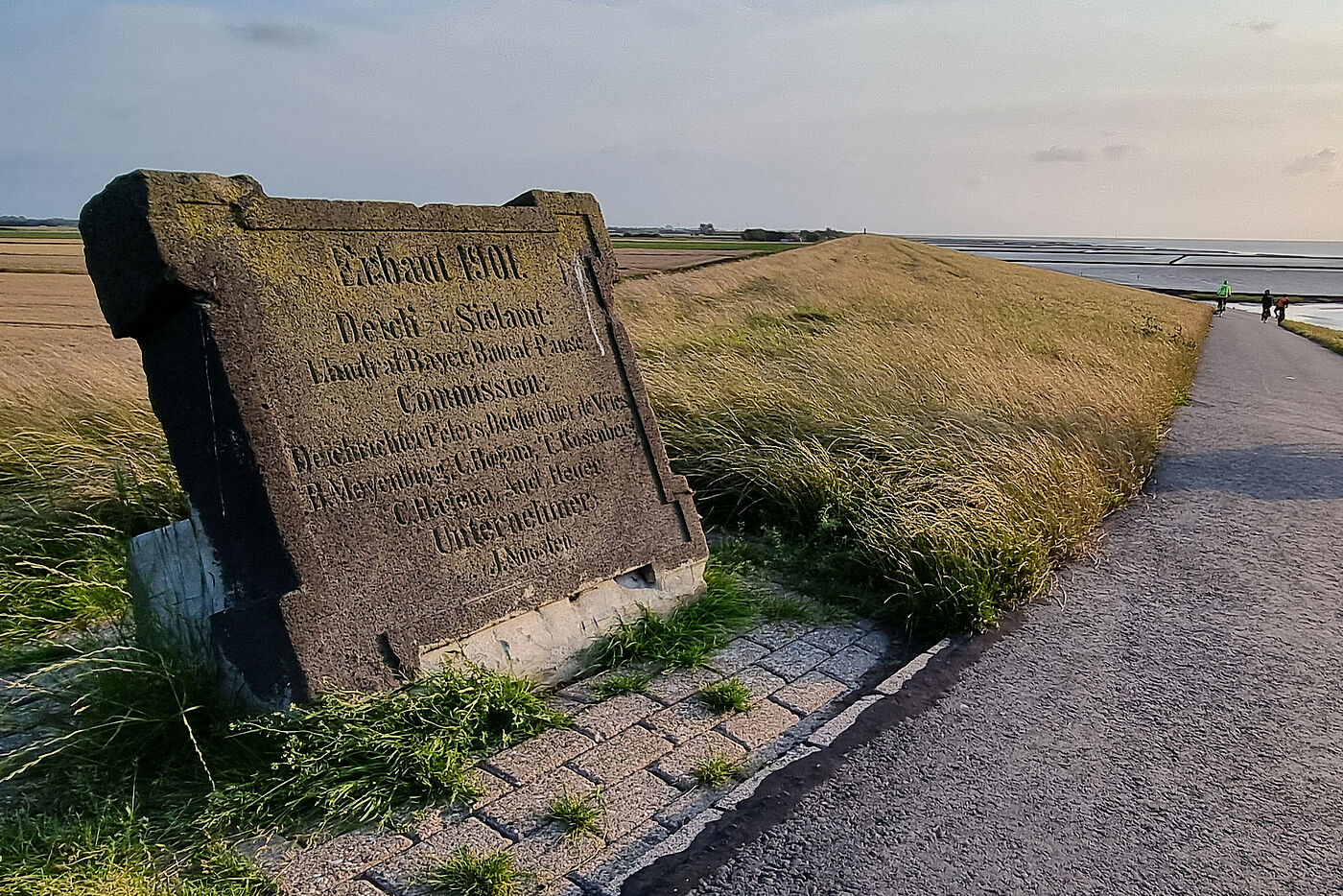 20250806_Mandepolder_B0.jpg