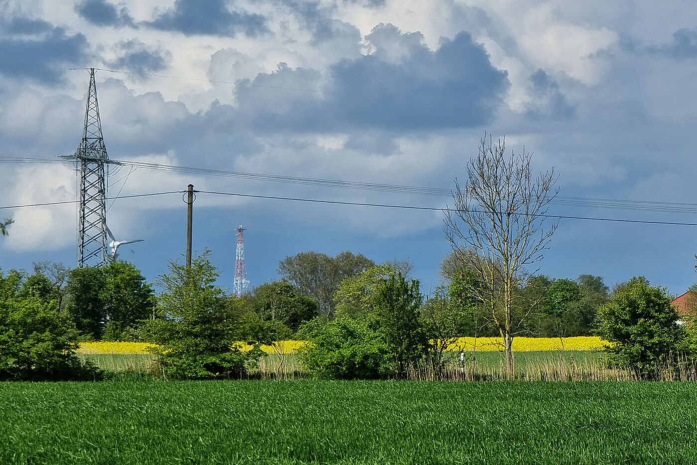 20240428_Greetsiel_B3.jpg