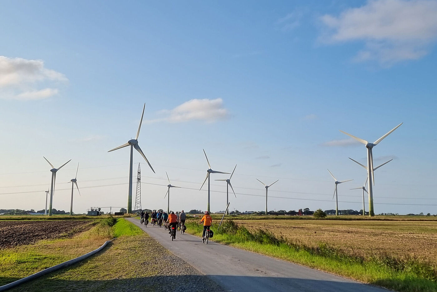 20240731_Mandepolder_B1.jpg