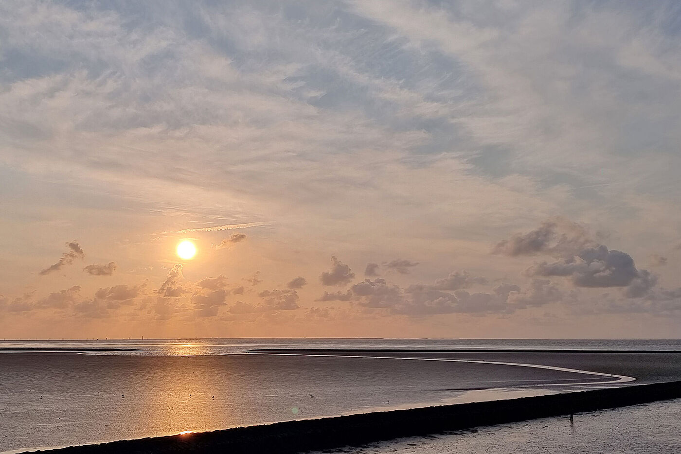 20250806_Mandepolder_B4.jpg