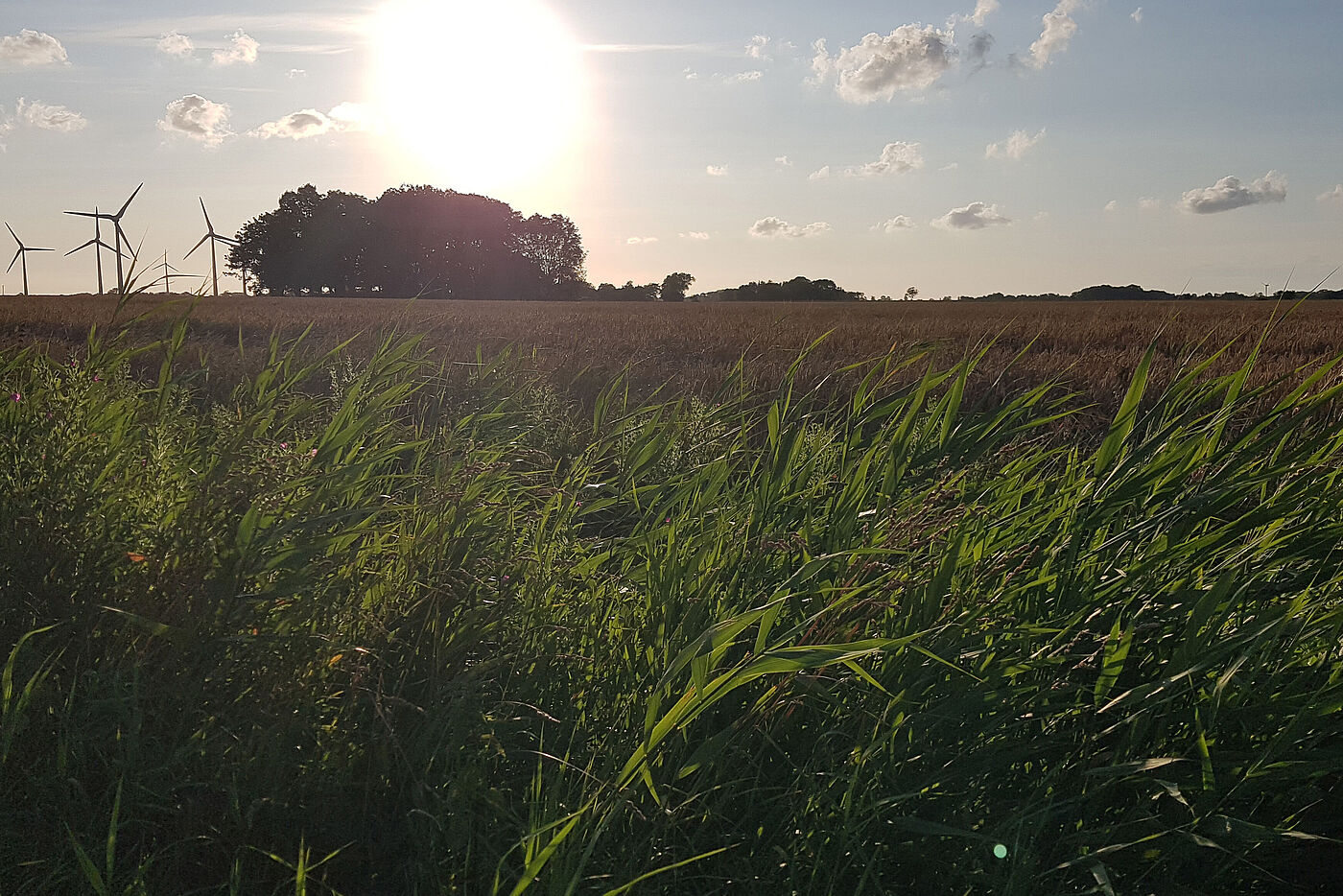 20230712_Hilgenriedersiel_B4