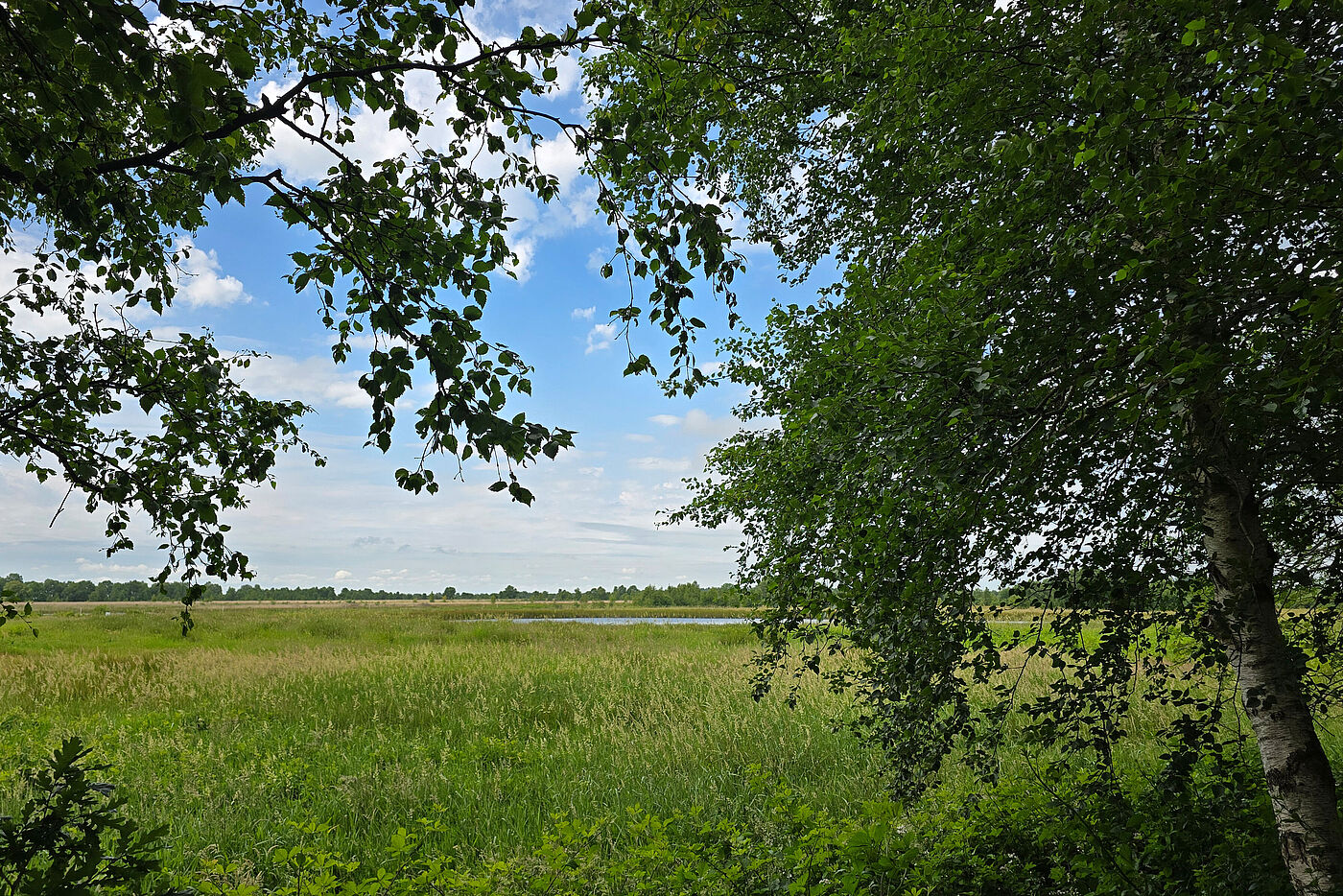 20260621_EwigesMeer_B0.jpg 20260621_EwigesMeer_B0.jpg
