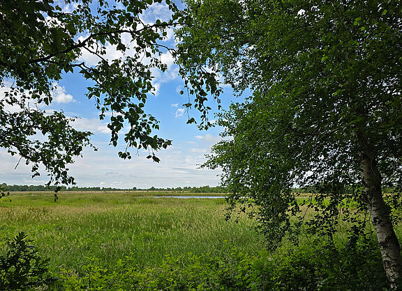20260621_EwigesMeer_B0.jpg