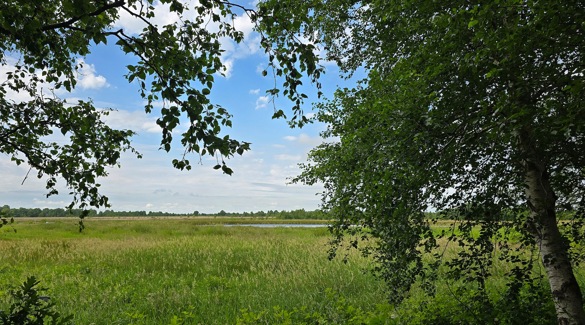 20260621_EwigesMeer_B0.jpg