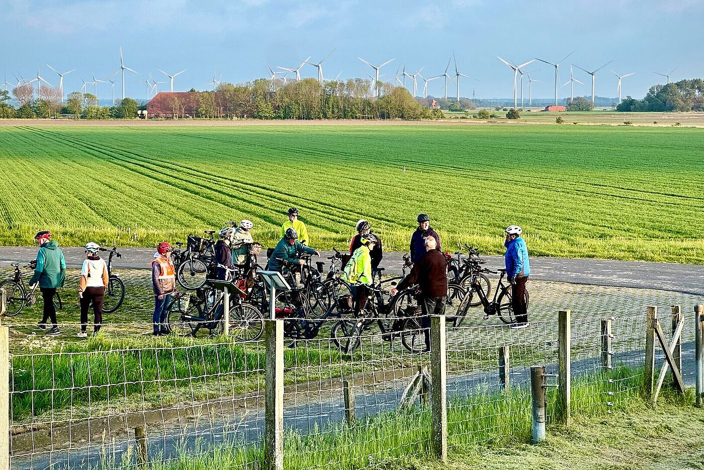 20240508_Mandepolder_B0.jpg