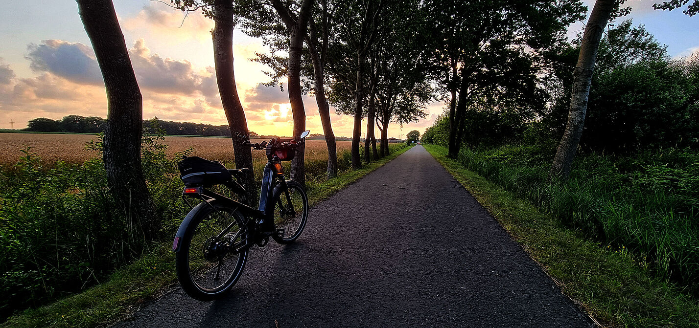 20250716_RooPaal_B0.jpg 20250716_RooPaal_B0.jpg