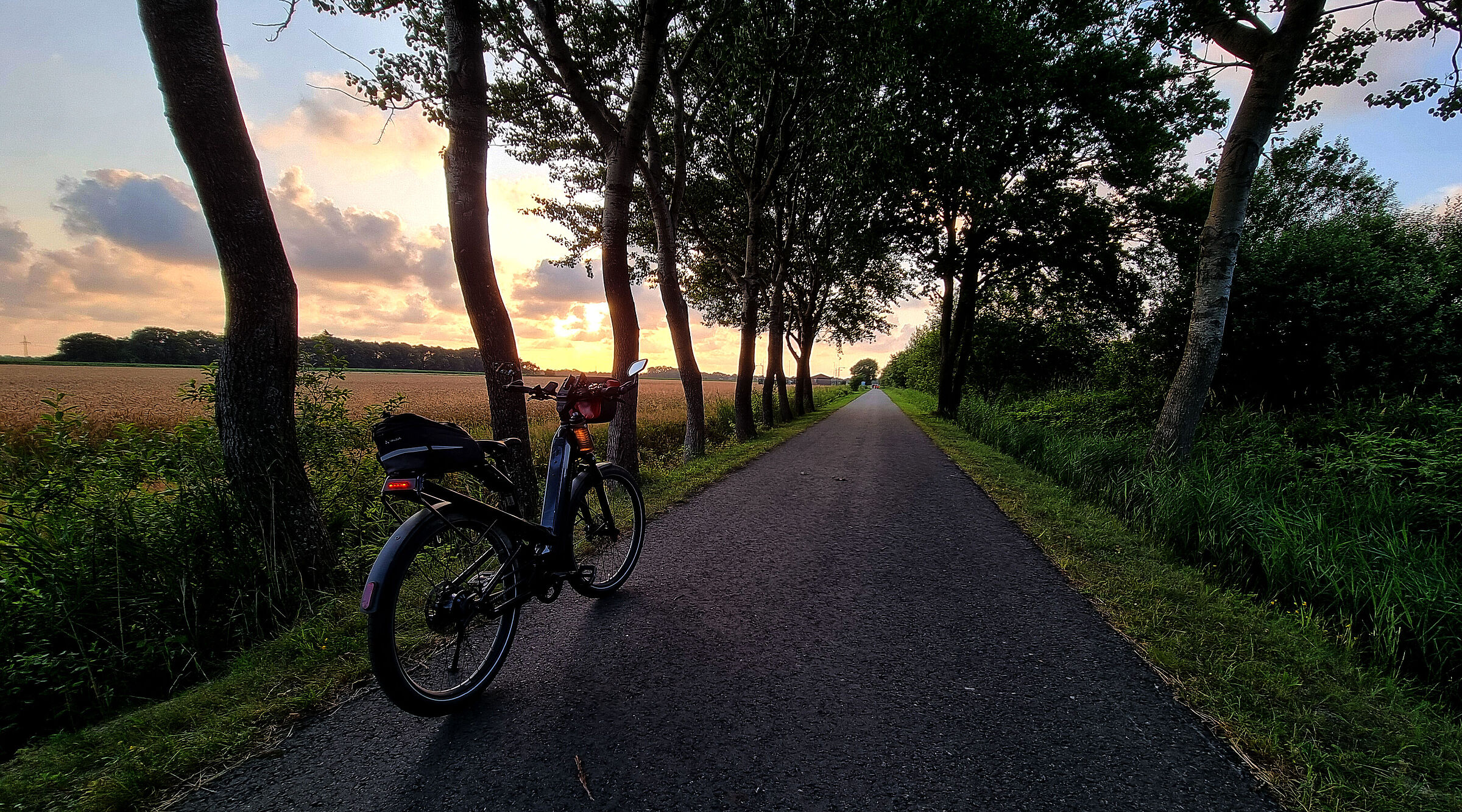 20250716_RooPaal_B0.jpg