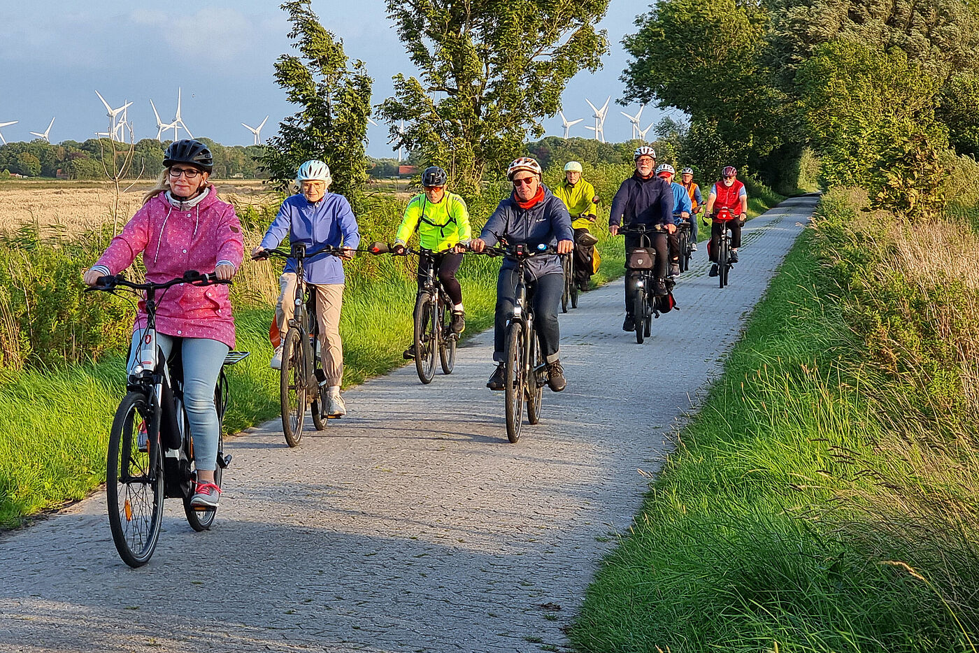 20250806_Mandepolder_B3.jpg