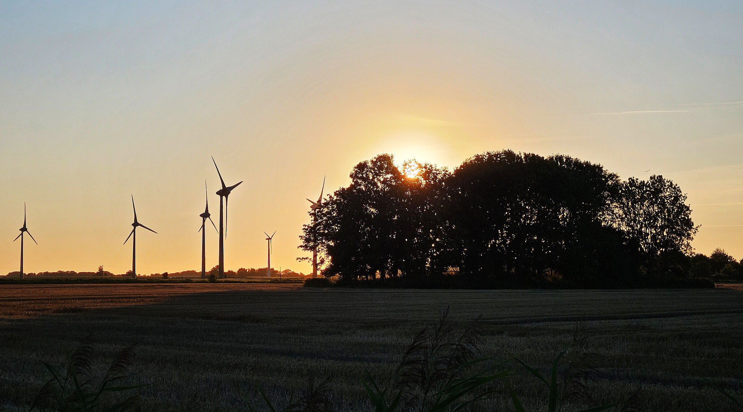 20250820_Hilgenriedersiel_B0.jpg