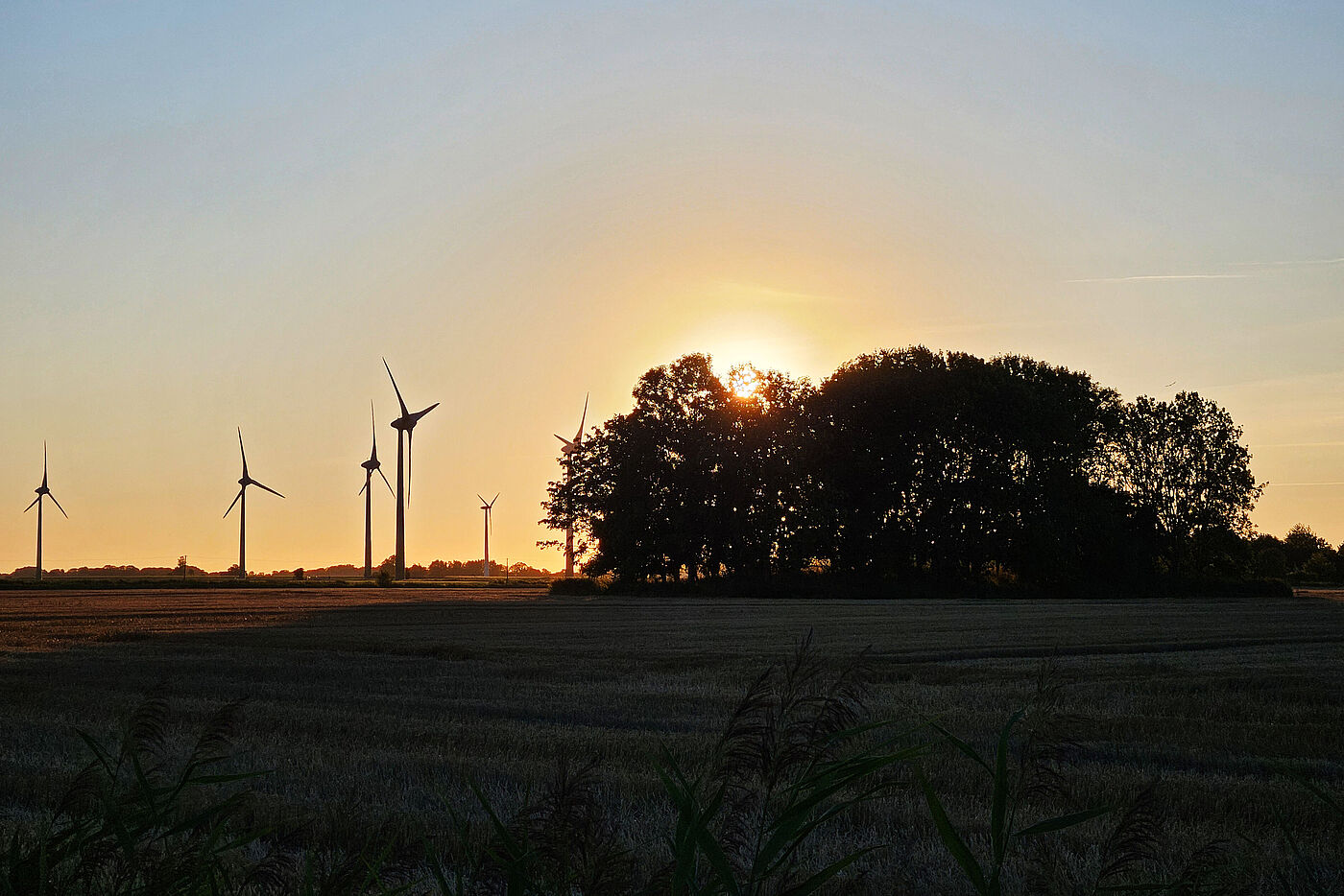 20250820_Hilgenriedersiel_B0.jpg