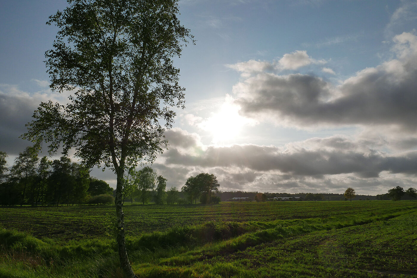 20230524_Leezdorf_B4