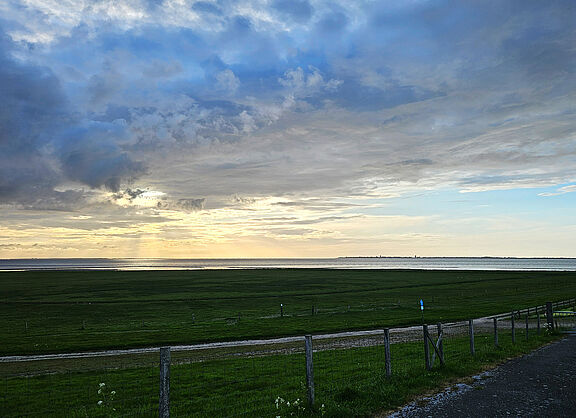 20260513_Hufschlag_B0.jpg