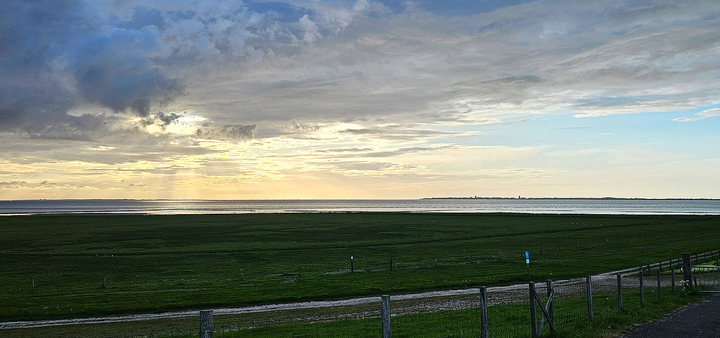 20260513_Hufschlag_B0.jpg 20260513_Hufschlag_B0.jpg