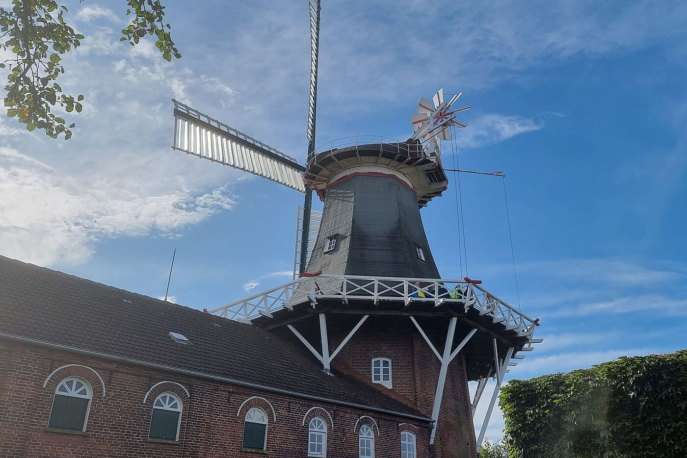 20230827_Muehlentour_B0.jpg