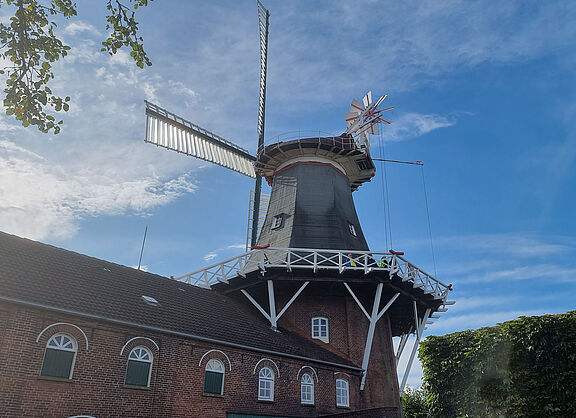 20230827_Muehlentour_B0.jpg